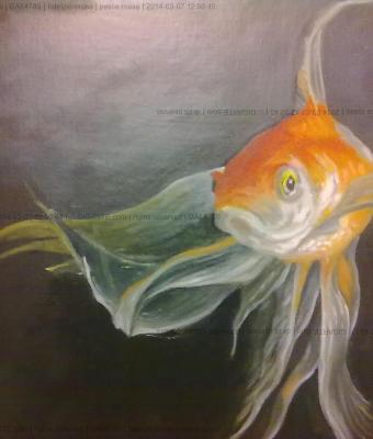 pesce-rosso