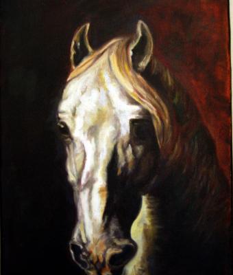 testa-di-cavallo-omaggio-a-g