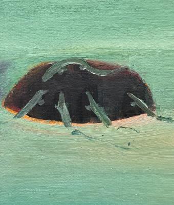 isola-dei-rettili