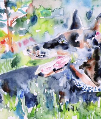 doberman-nell-erba