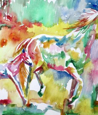 cavallo-e-puledro-in-corsa