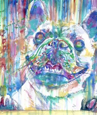 french-bulldog