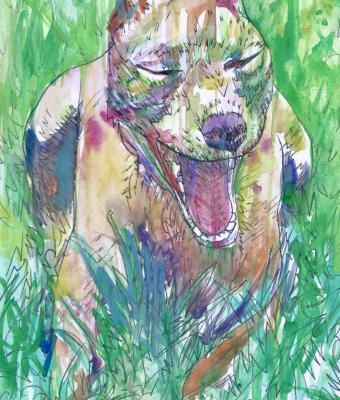 pit-bull-che-sbadiglia-nel-gia