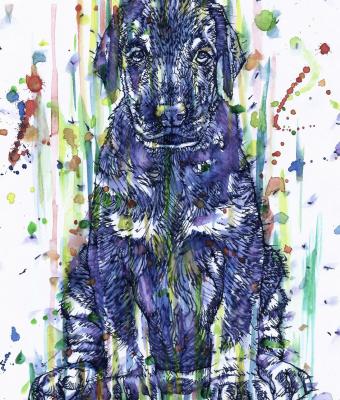 cucciolo-di-dobermann