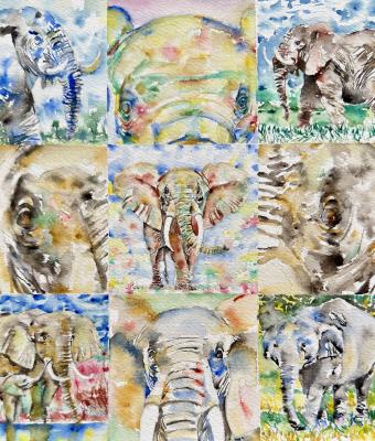elephant-nine-points-of-view