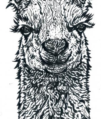 lama-d-inchiostro