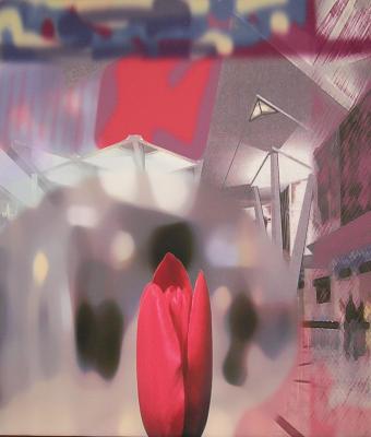 rouge