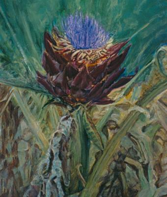 fiore-di-cardo