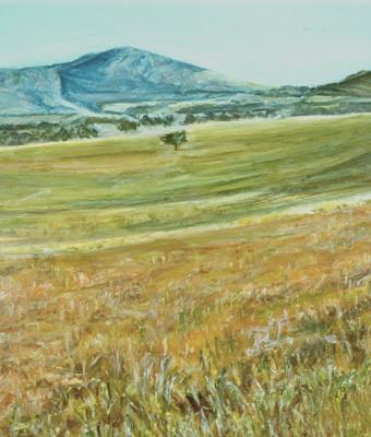 paesaggio-campidanese