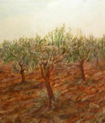 oliveto