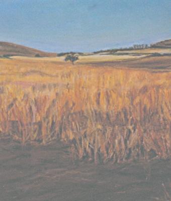 estate-campidanese