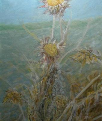 prima-del-risveglio