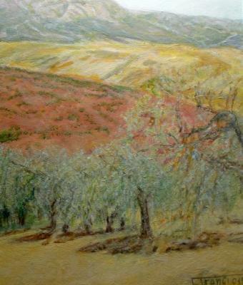 paesaggio-con-olivi