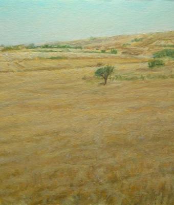 campagna-sestese-ca