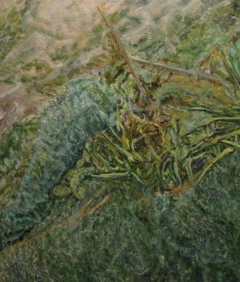 flora-mediterranea-masua