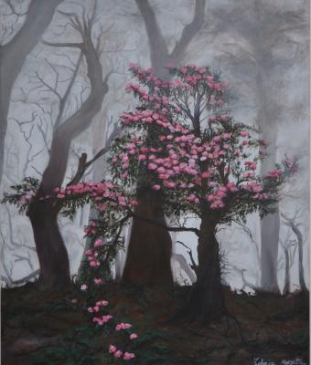 fiori-nella-nebbia