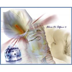 fotoelaborazione