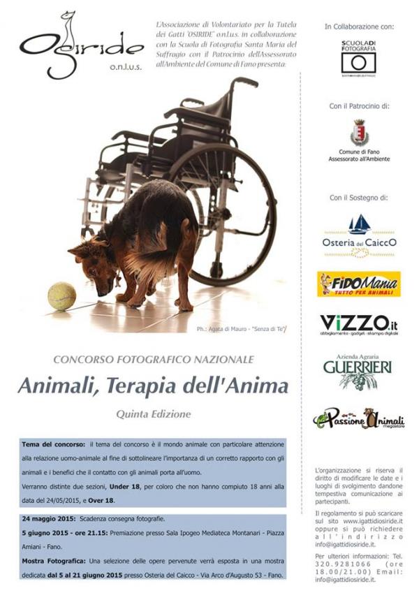 concorso-fotografico concorso-fotografico
