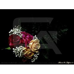 rose