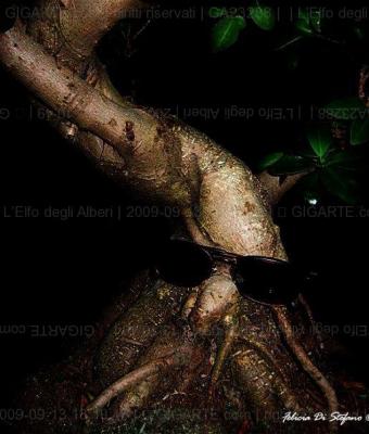 l-elfo-degli-alberi