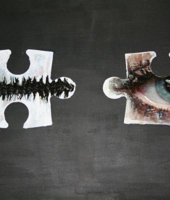 puzzle-eye