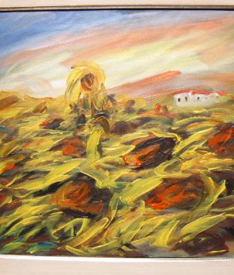 girasoli