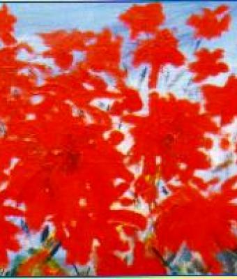 fiori-rossi