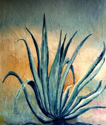 agave-1989