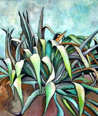 agave-magnifica-1990