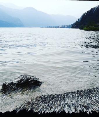 view-on-the-lake