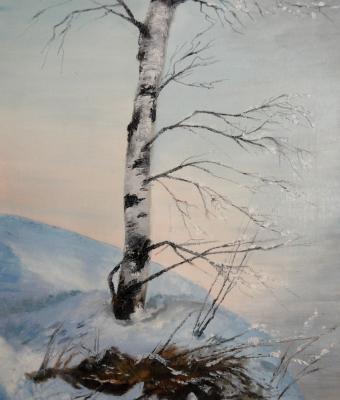 betulla-sotto-la-neve
