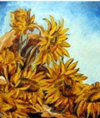 girasoli