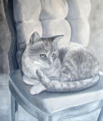 la-mia-gattina-cipria