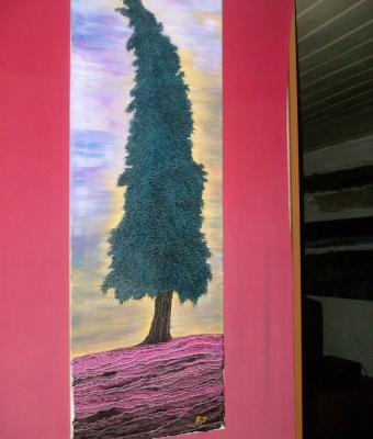 cipresso-nei-colori