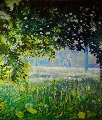 il-grano-tra-gli-alberi
