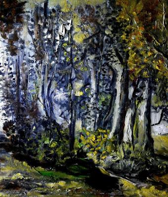 il-bosco-del-lago