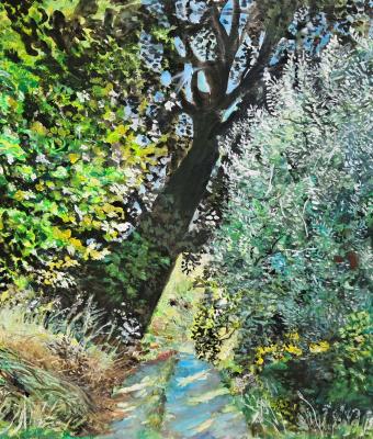 campagna-di-nibbiano
