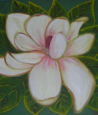 fiore-di-magnolia