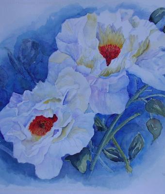 peonie-bianche
