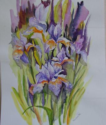 iris