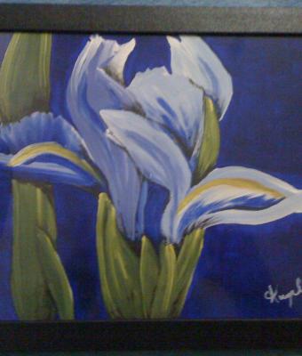 iris