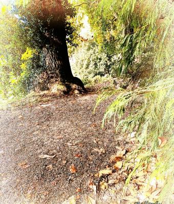 autunno-by-raffreefly-prove