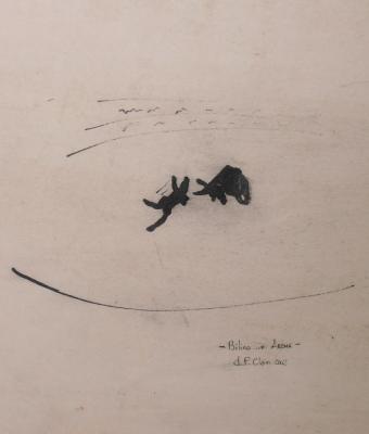 bilico-in-arena