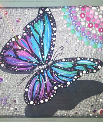 butterfly