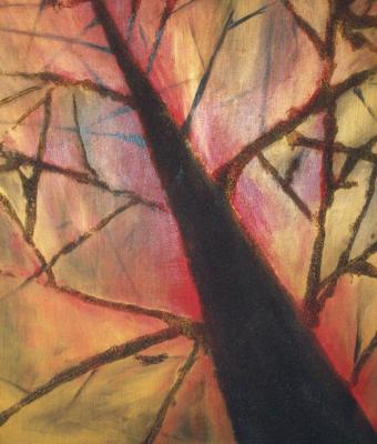 albero