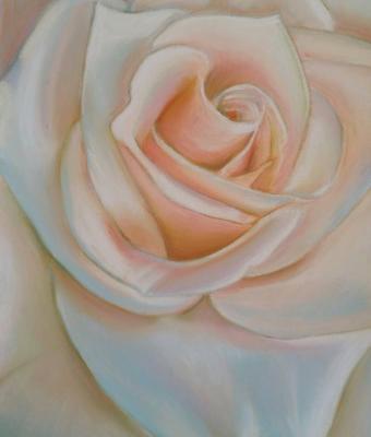 silk-rose