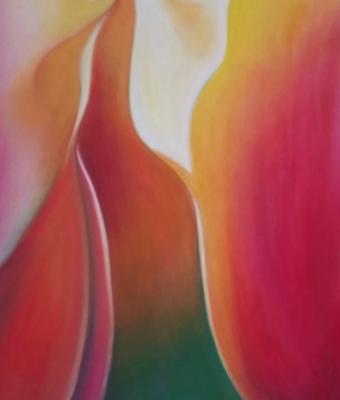 tulip-door