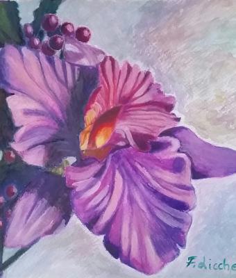 studio-orchidea