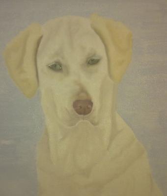 ga60695-senza-titolo