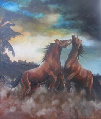 cavalli-del-deserto